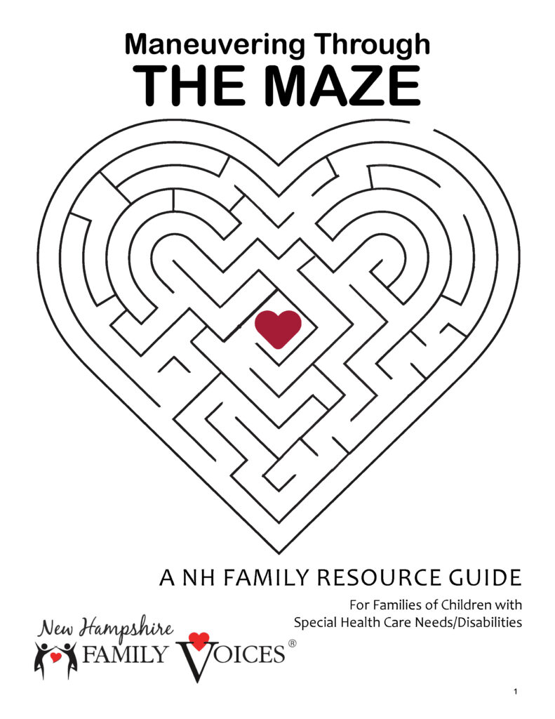 2026 Maneuvering Through the Maze Cover